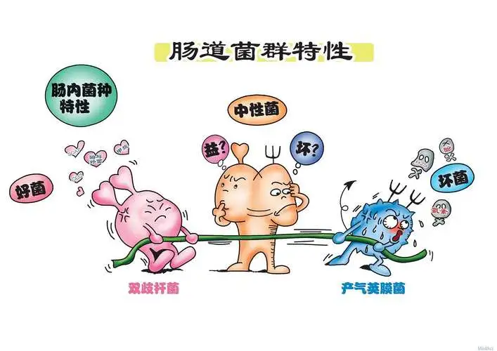 https://img2.danews.cc/upload/images/20240914/b016b440aab707f242d805aae07d1038.png