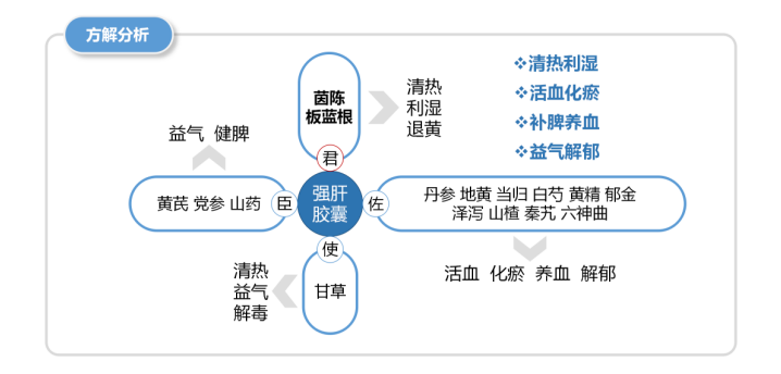 强肝胶囊16味成分药理作用明确，为治疗脂肪性肝病的理想用药