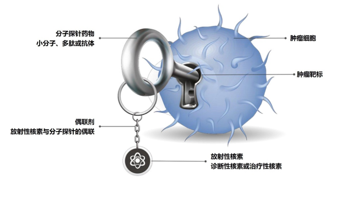 远大医药全球创新放射性核素偶联药物ITM-11国内III期临床试验申请获药监局受理