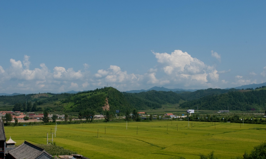 传承红色基因，助力乡村建设