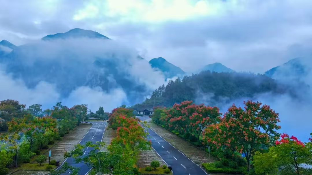 山上的风景描述已自动生成