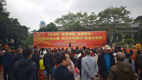 党旗领航下的广西武宣供销大集，为乡村振兴添动力