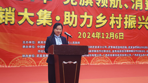 党旗领航下的广西武宣供销大集，为乡村振兴添动力
