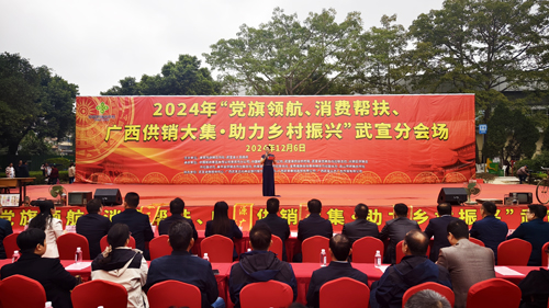 党旗领航下的广西武宣供销大集，为乡村振兴添动力