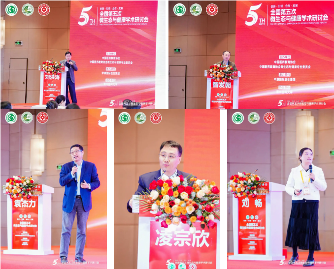 https://img2.danews.cc/upload/images/20241217/19c1562c047df374308bf3a45af18beb.jpg