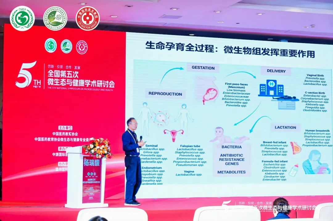 https://img2.danews.cc/upload/images/20241217/226e8c4fecce022011800956801be22c.jpg