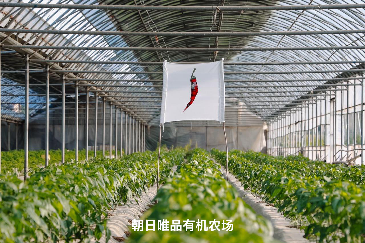 https://img2.danews.cc/upload/images/2025-07-01/vgJbXjrpcbJmimages.png