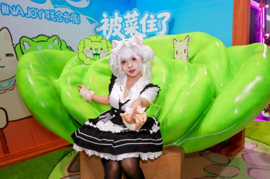 金山世游猫咪和汤2国服来了！CJ2025猫咪女仆男仆COS_https://www.izongheng.net_快讯_第6张