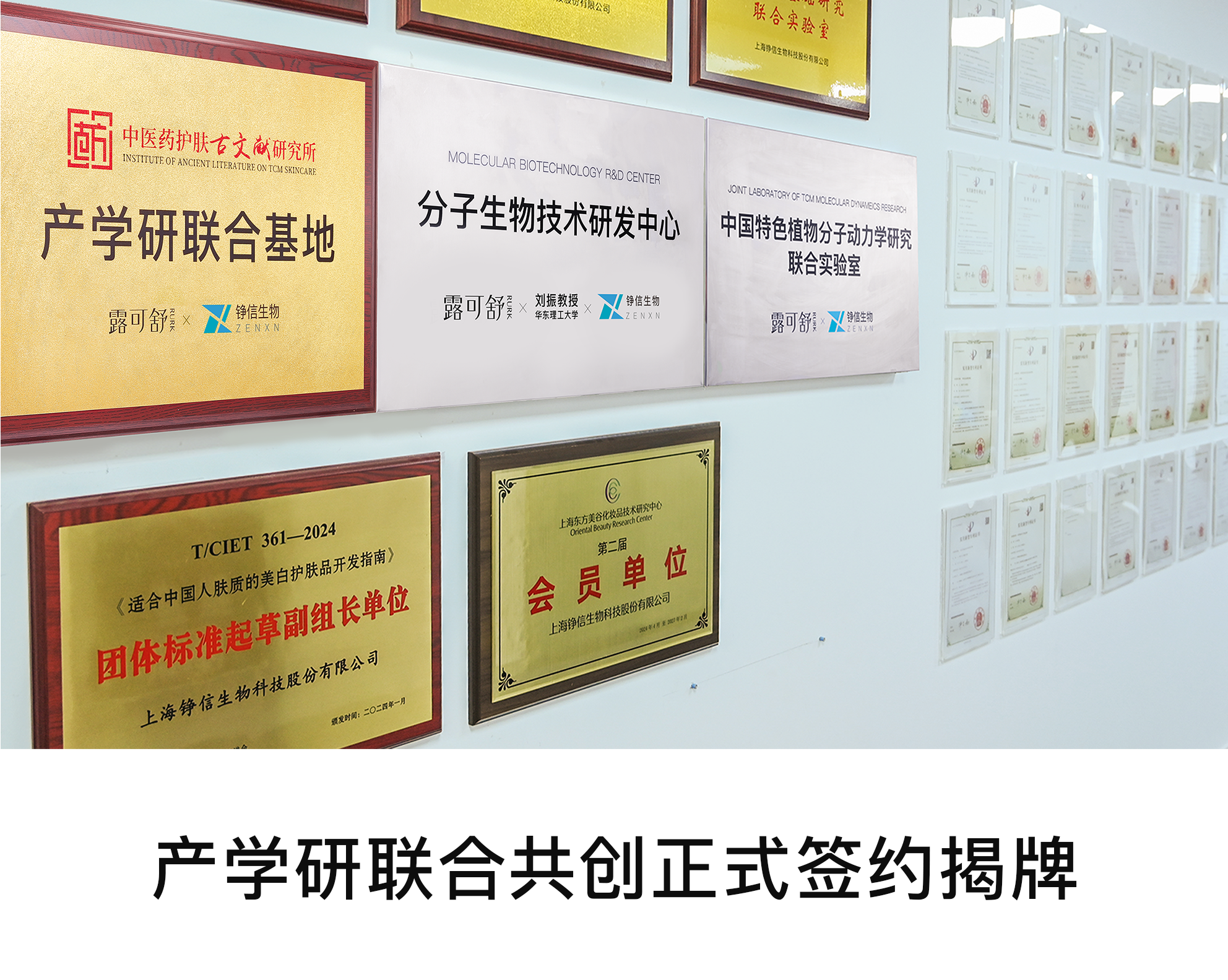 https://img2.danews.cc/upload/images/2025-08-27/imagesYUICqJXsuSiV.png