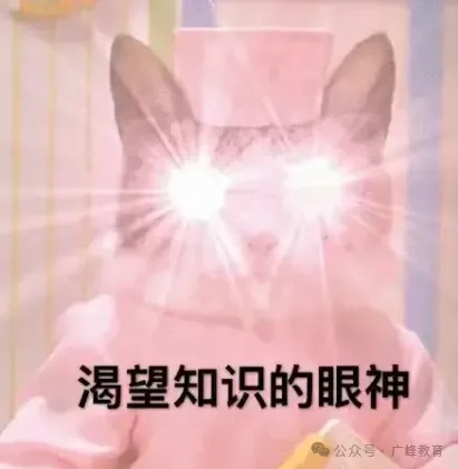 https://img2.danews.cc/upload/images/2025-08-28/imagesZAnttEnQmGZs.png