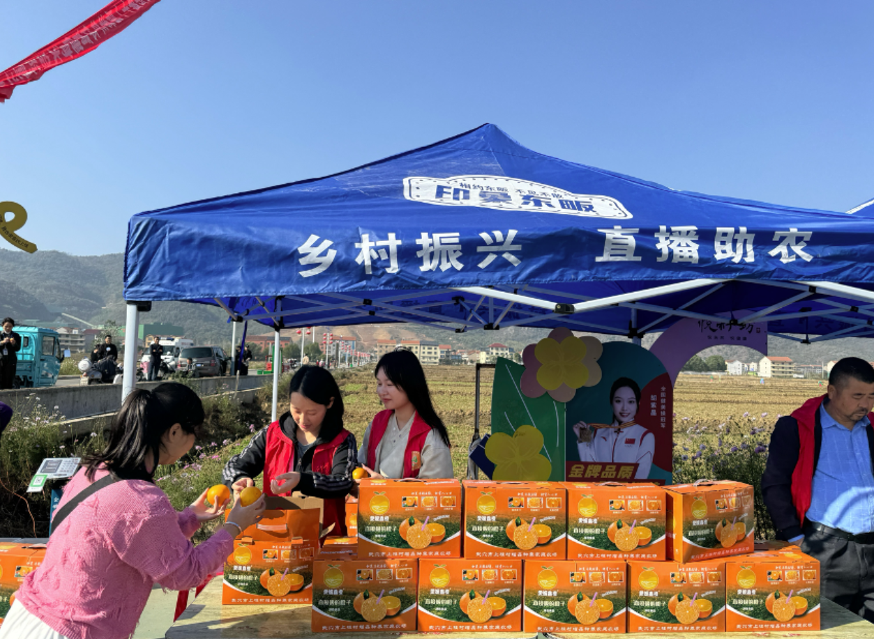 武穴烟草：在田畴与街巷间，书写同心共进的答卷