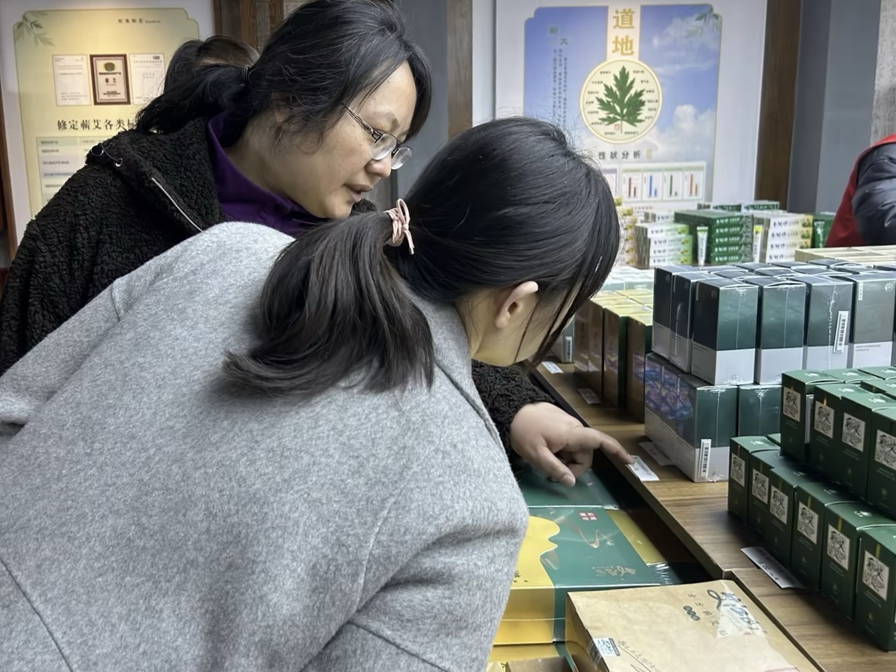 湖北蕲春：产业 “艾” 上振兴路