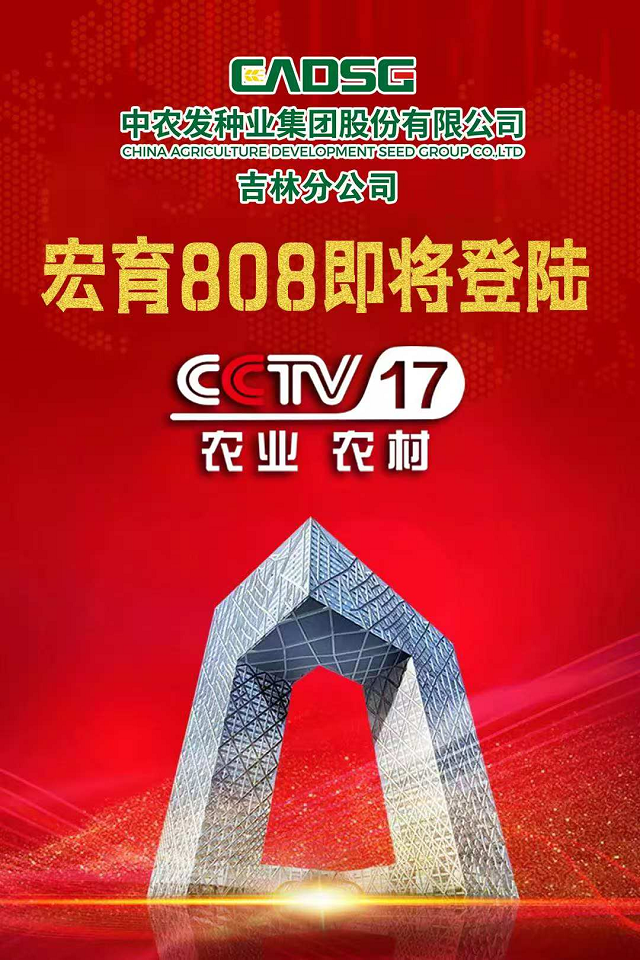 中农发种业吉林分公司强势登陆央视