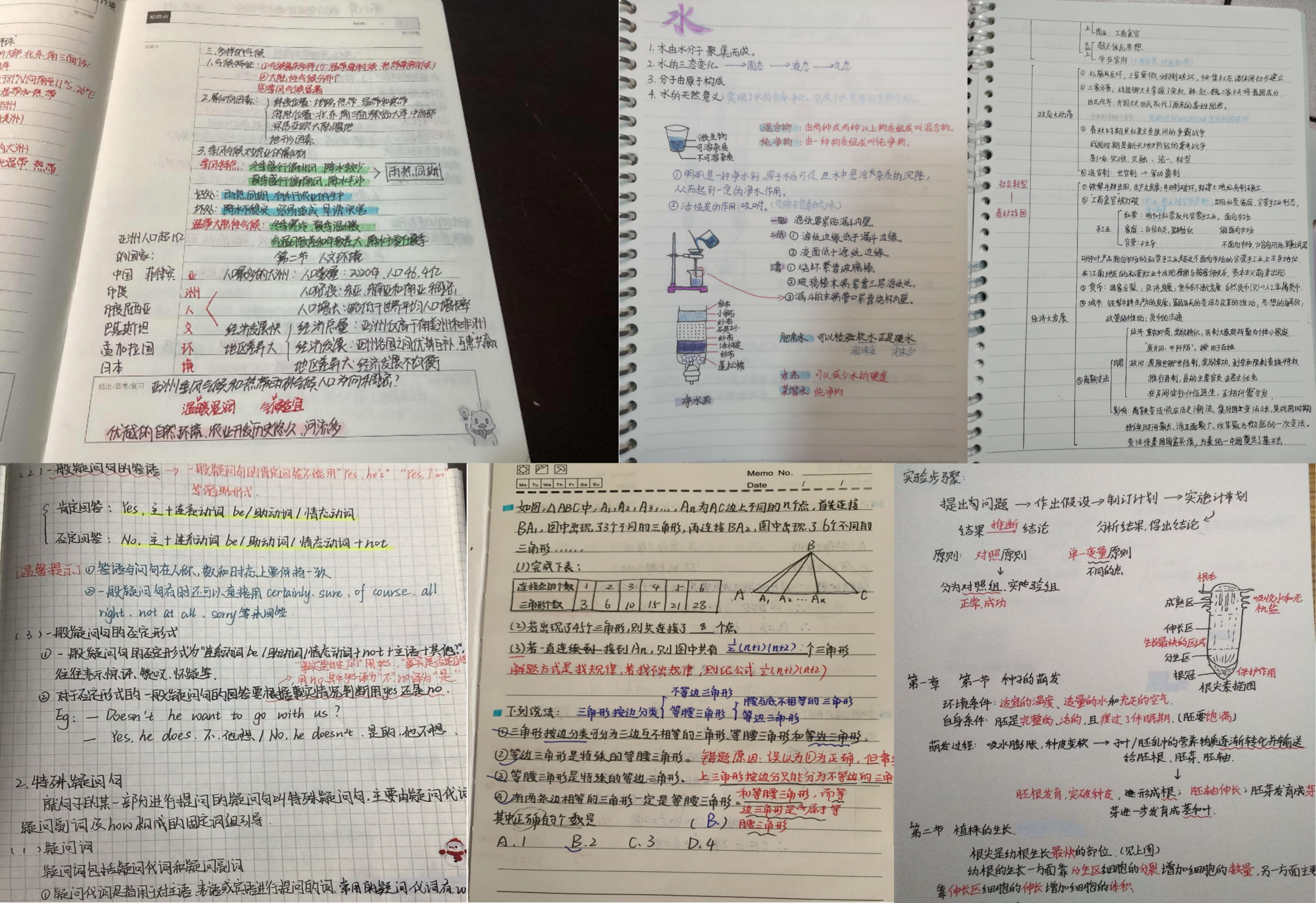 千份理想树学霸笔记惊艳出圈，原来优秀真的可以复制！