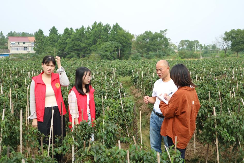 湖北武穴：激活“一池春水”，共绘乡村美景 