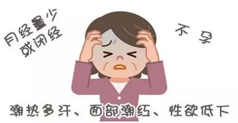 https://img2.danews.cc/upload/images/20250113/a4c39e97a1ef3677543a2da6dacc1c01.png