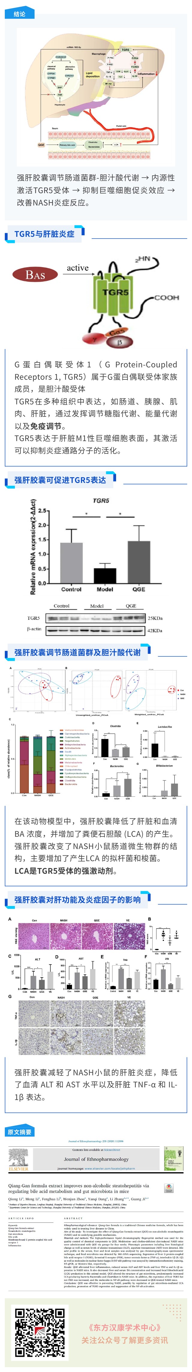 SCI：强肝胶囊治疗NASH的作用机制研究