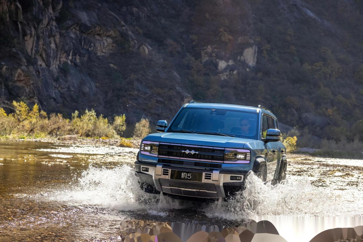 2月销量十强解读：新能源方盒子 SUV 进入价值竞争时代