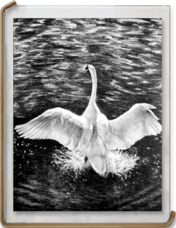 й糱йĻҡ
