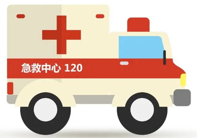 3.webp