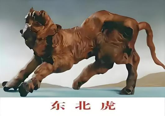 üǽ- й