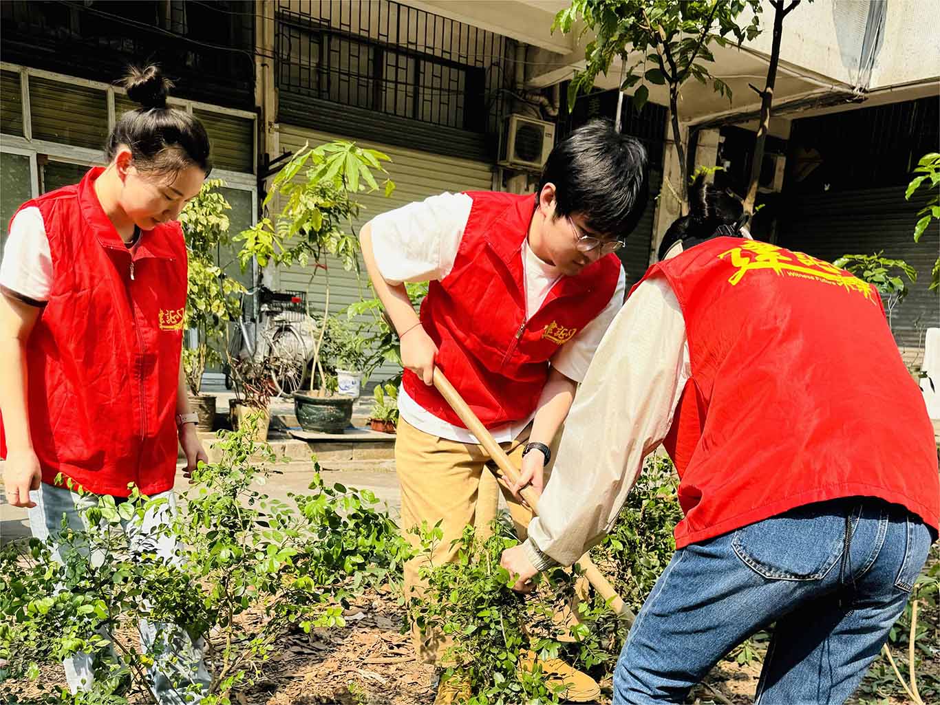 https://img2.danews.cc/upload/images/20250331/6f863255b65f26c9a6b97145bd6f2694.jpg