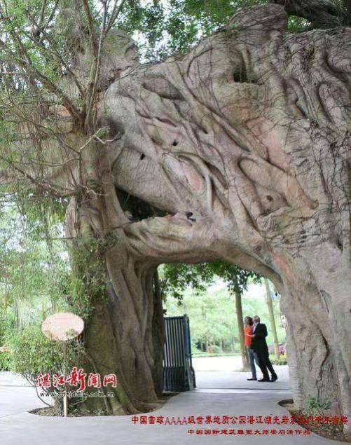 ʱ˳еļ봴حר