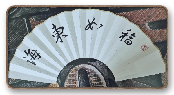 《2025亚洲博鳌论坛》当代文化人物·闫锐伶特别报道