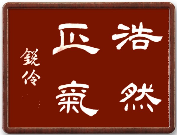 《2025亚洲博鳌论坛》当代文化人物·闫锐伶特别报道