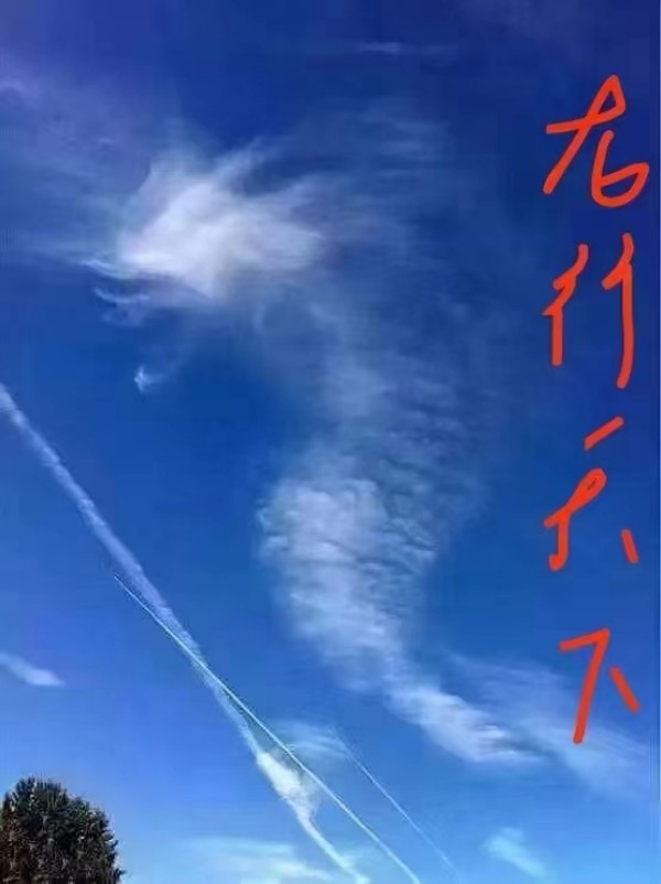й罾 һ̳