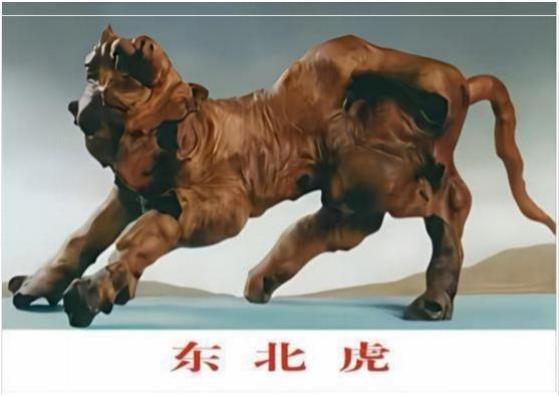 ǹҫ;Ƽ;йر𱨵