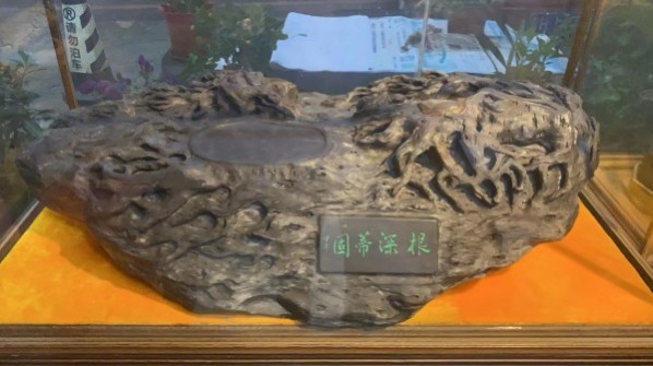 й罾Ļ һ̳л