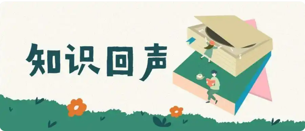 知识回声：成就更好自己的学习伙伴