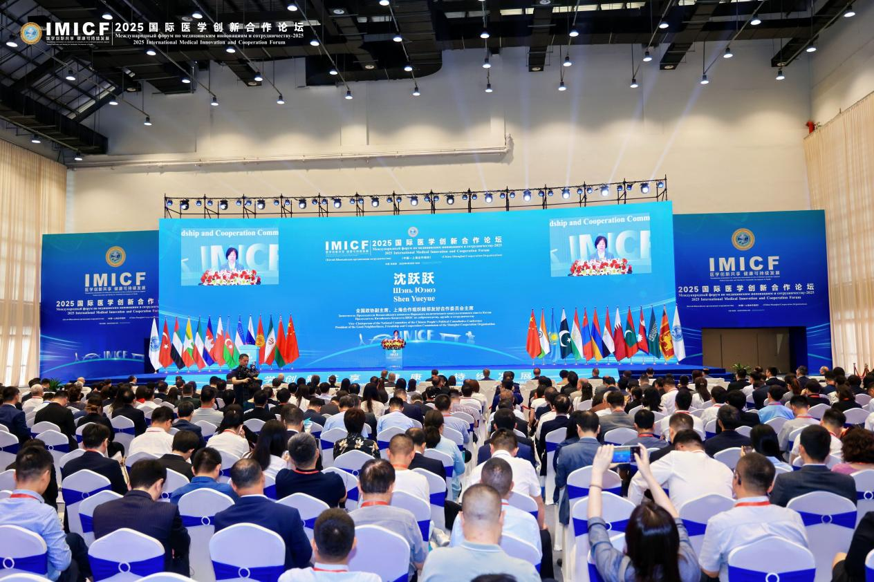 https://img2.danews.cc/upload/images/20250506/2b94fe35a10737193afead0b04b421d8.png