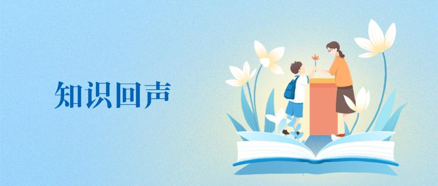 知识回声：助力知识积累与个人成长