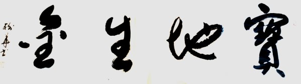 ʷռδжĻʹٷ