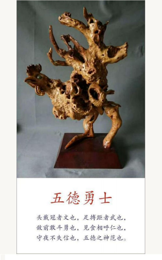 й;罾ݹŽһ̳;й