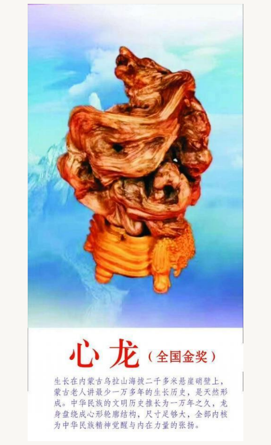 й;罾ݹŽһ̳;й