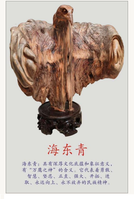 й;罾ݹŽһ̳;й