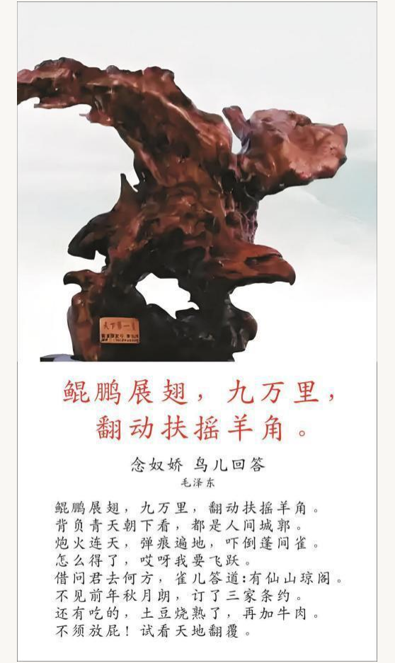 й;罾ݹŽһ̳;й