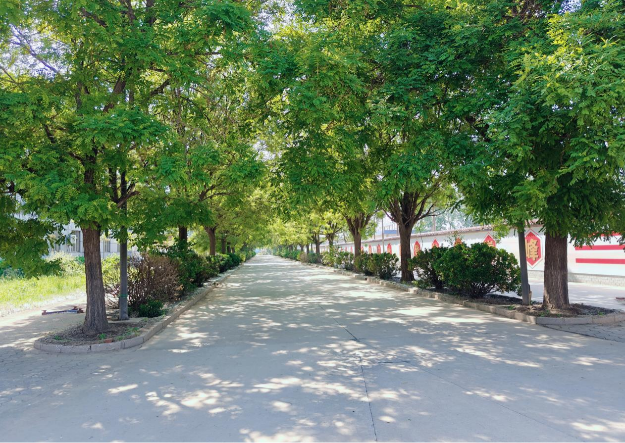衡水二中原班人马,骨干教师,打造任丘教育新高地!  —— 任丘市智臻高级中学