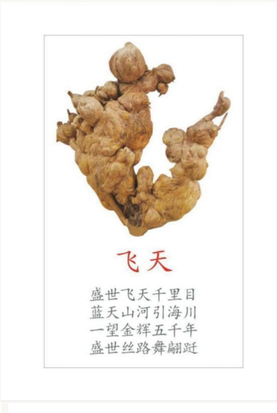 й;罾ݹŽһ̳;й