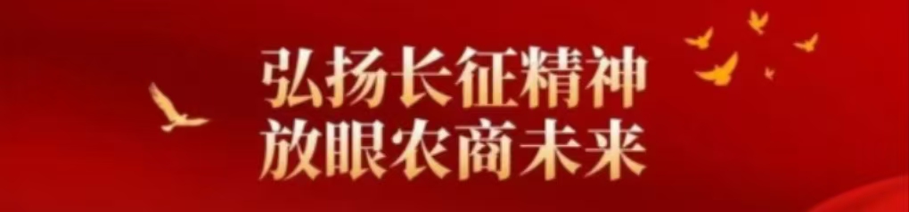 内蒙古农商银行(筹)拟设包头中心支行开展团员青年“携手跑完长征路”红色教育活动