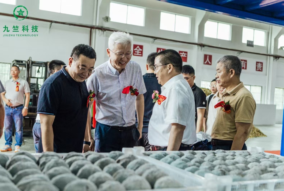 https://img2.danews.cc/upload/images/20250520/7215f7a7b1c3175fab67277312c6fac0.png