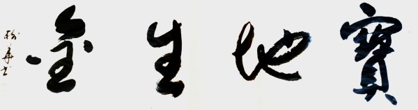 дʱ鷨ᡷرƼҡ
