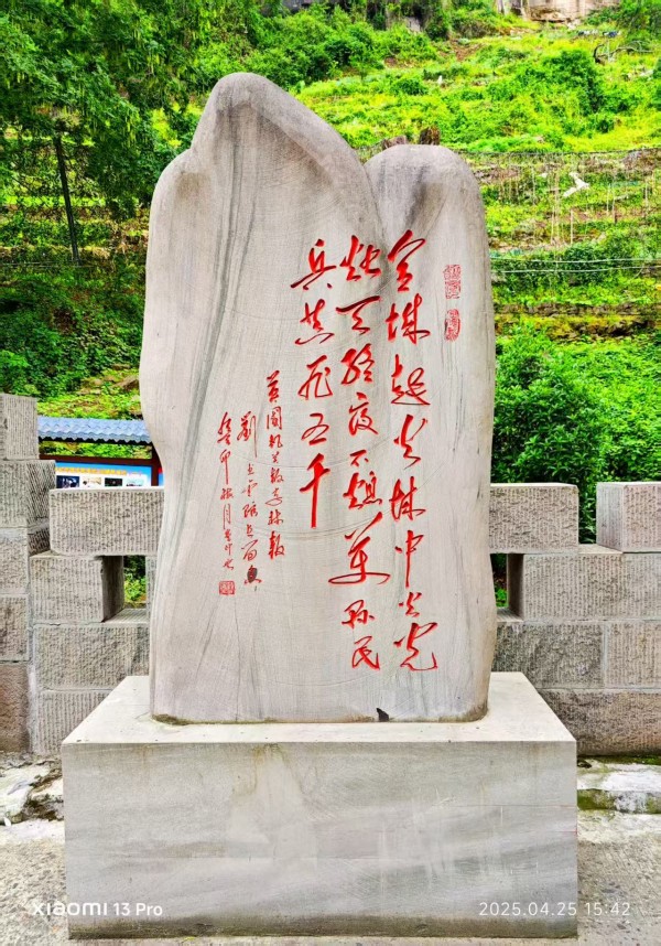 《书写新时代精气神》书法大会特别推荐艺术家曹仲云