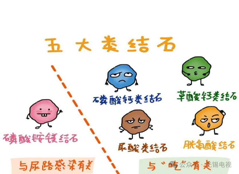 https://img2.danews.cc/upload/images/20250526/0e94244eebb1da61d4b79338cdd19fca.png