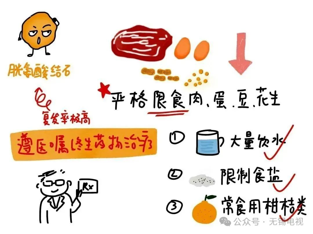 https://img2.danews.cc/upload/images/20250526/7b675cae4e8f78429d0693b447162317.png