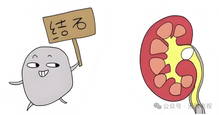 https://img2.danews.cc/upload/images/20250526/8792fea70b256a37563db469cbe2a2c6.png