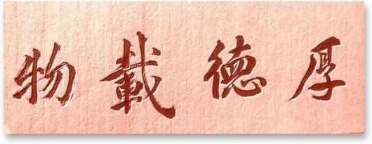 Ҧӥ--ʹԺԺ100 